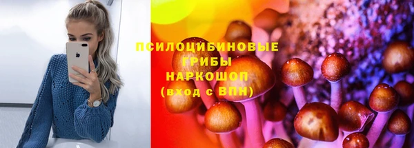 соль ск Алзамай