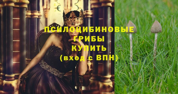 кокс Алексин