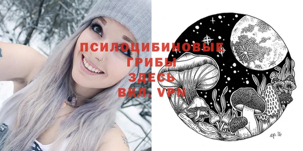 кокс Алексин